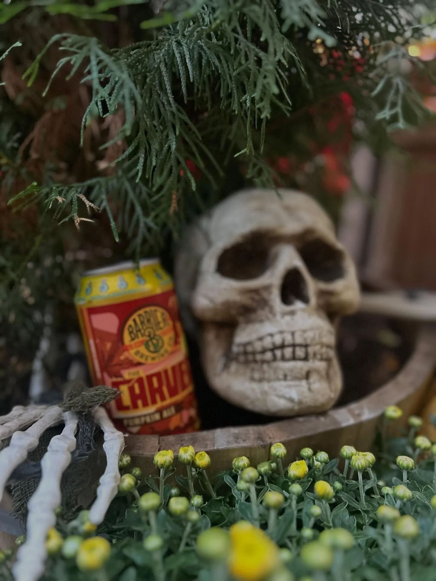 We are dying for our new pumpkin beer 👻.
.
.
.
#cheers #craftcocktails #nyccocktails #bartender #uws #liveyourbestlife #owlstail