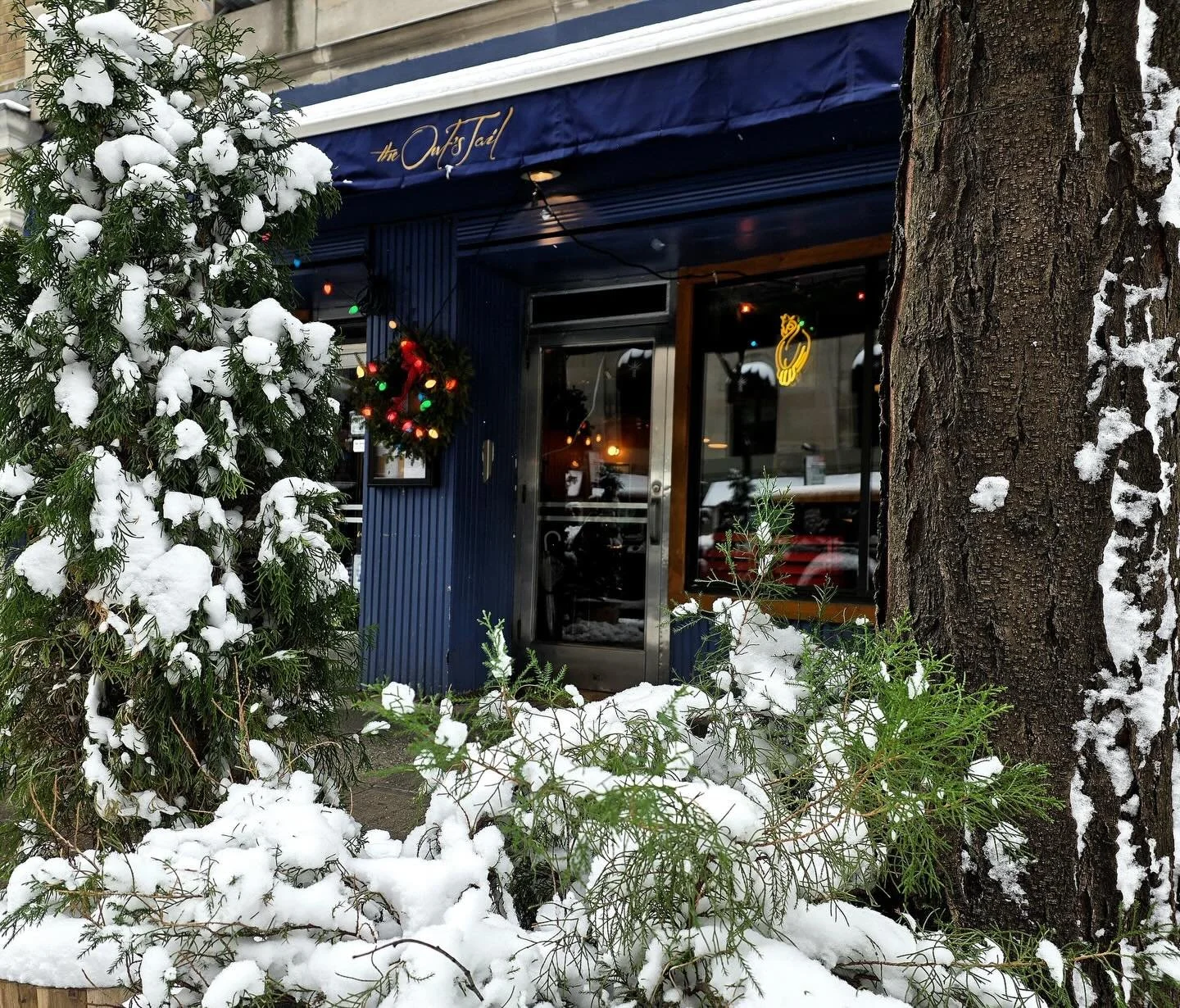 The perfect snow day oasis!
.
.
.
#cheers #craftcocktails #nyccocktails #nyccocktailbar #bartender