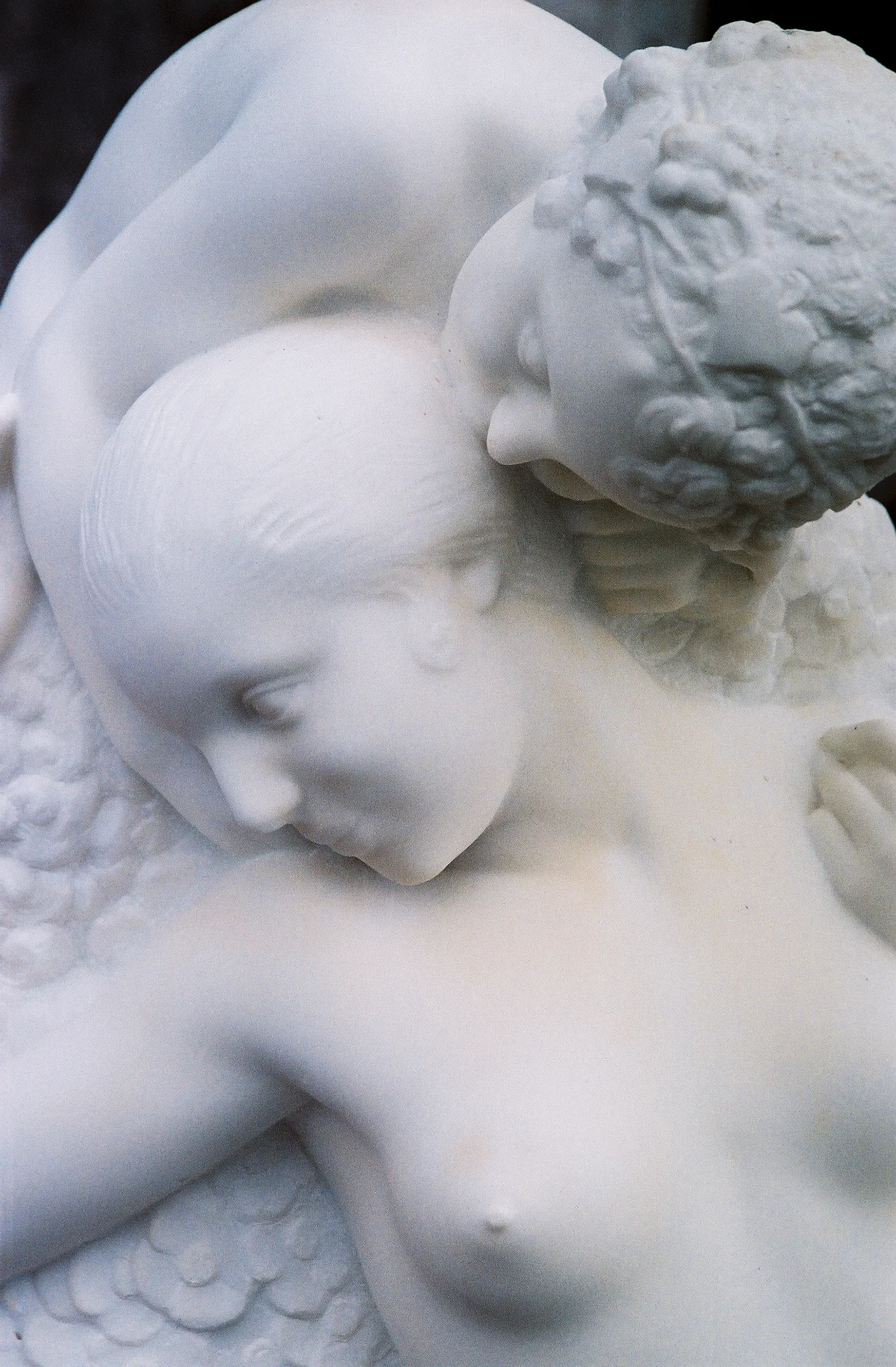 the_Weeping_Rose_Logan_White_09a.jpg