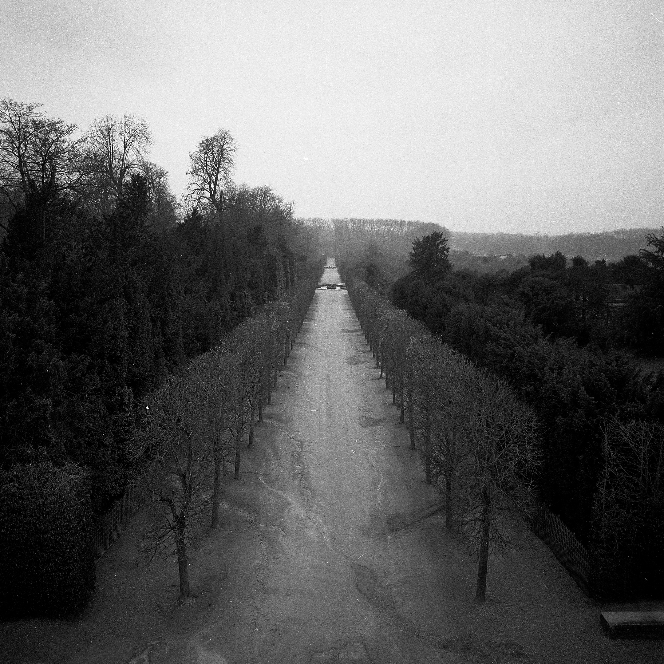 Versailles_Eye_Edit.jpg