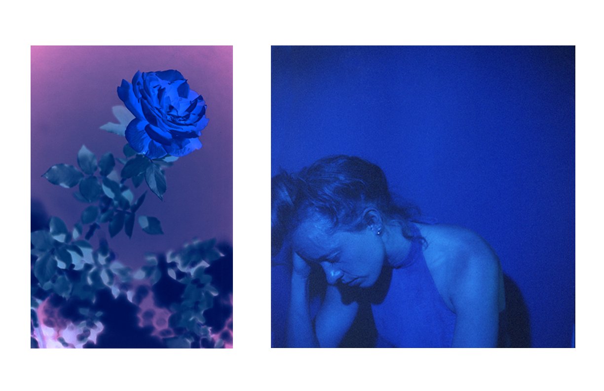 the_Weeping_Rose_06b.jpg