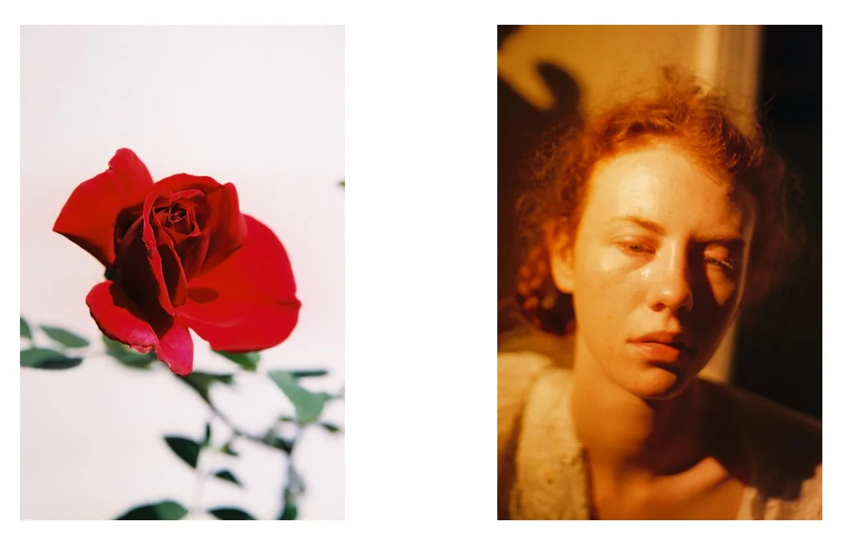 the_Weeping_Rose_22.jpg