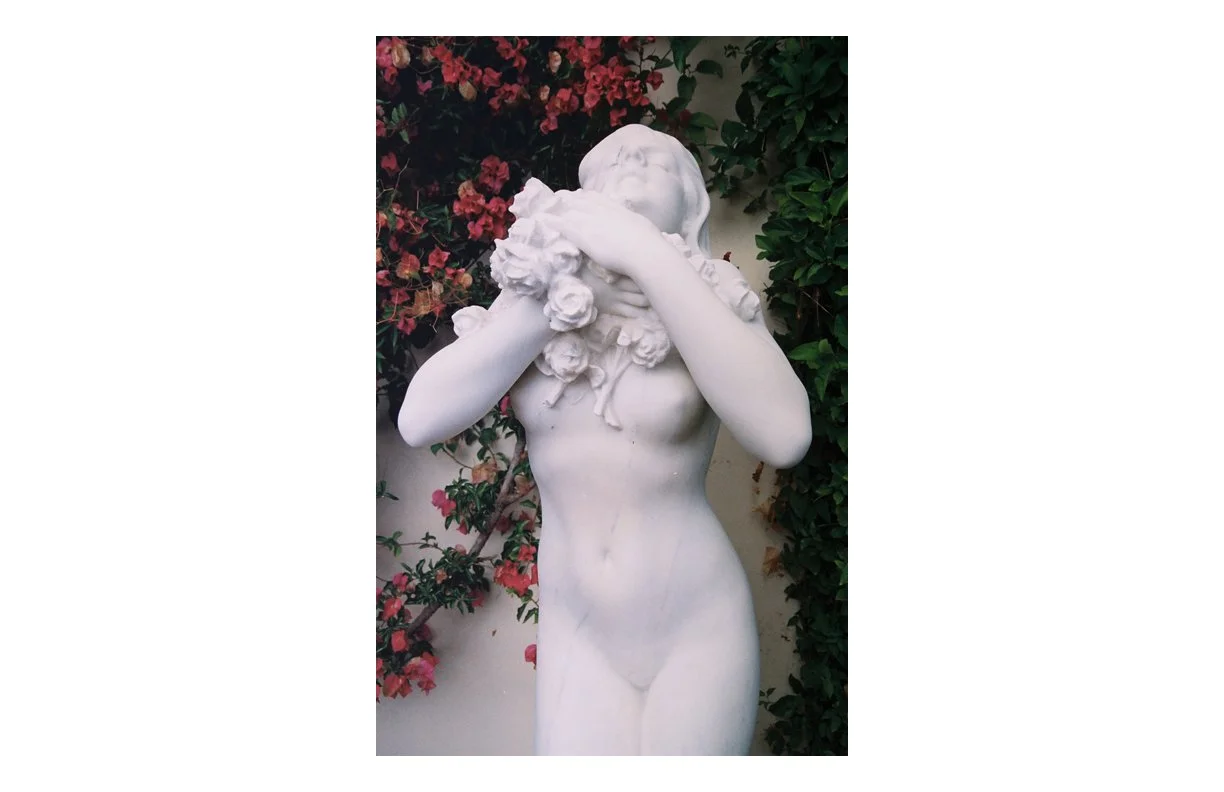 the_Weeping_Rose_33.jpg