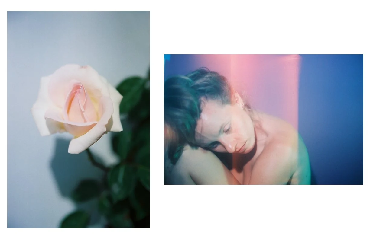 the_Weeping_Rose_29.jpg