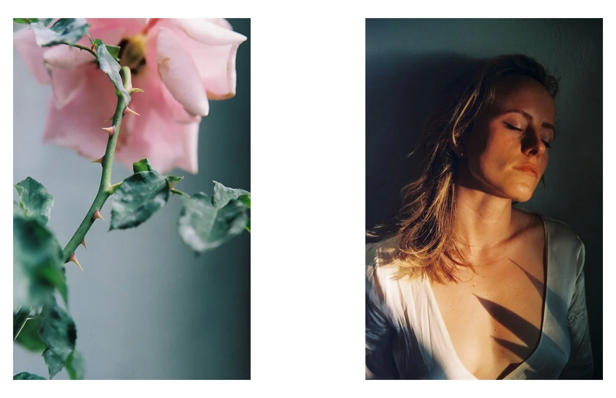 the_Weeping_Rose_31.jpg