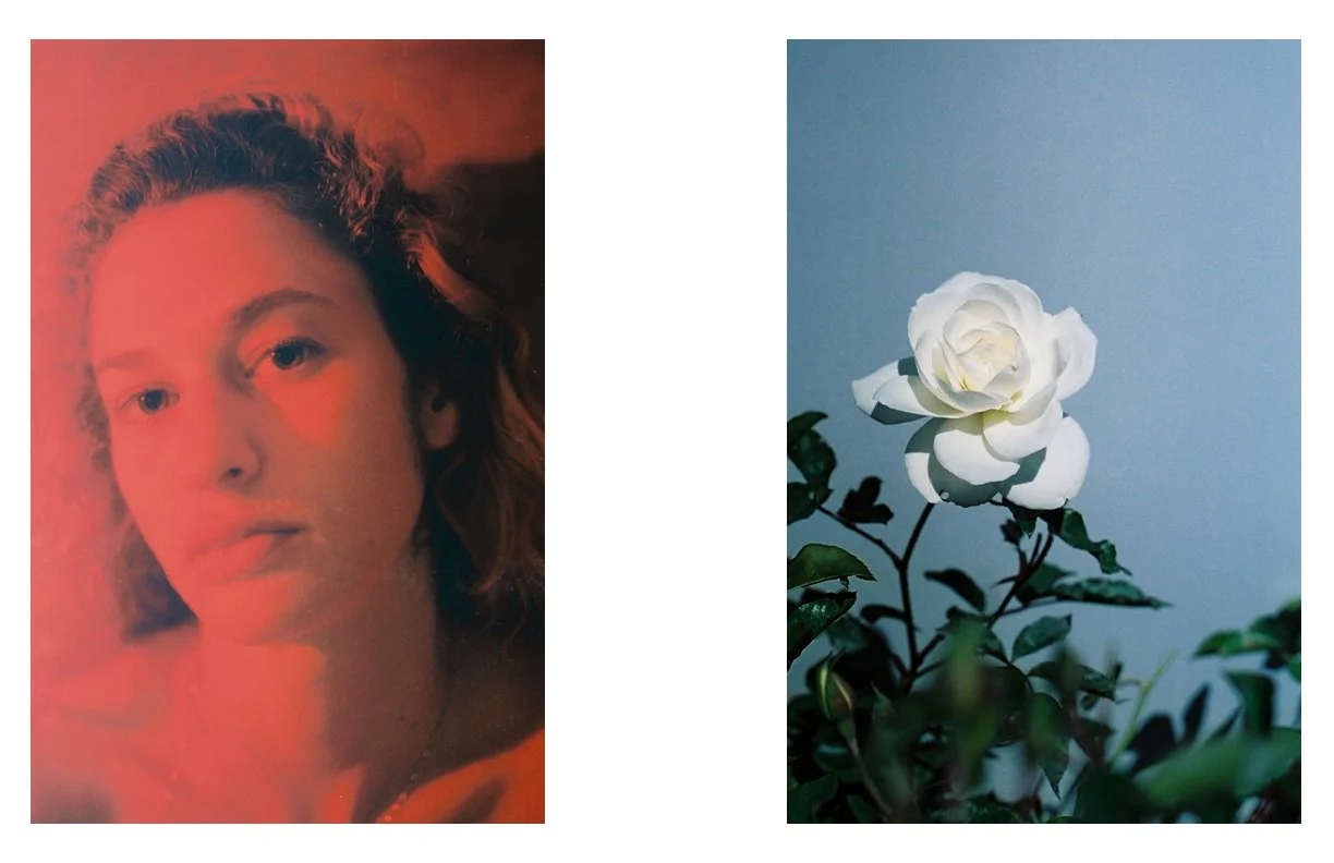 the_Weeping_Rose_26.jpg