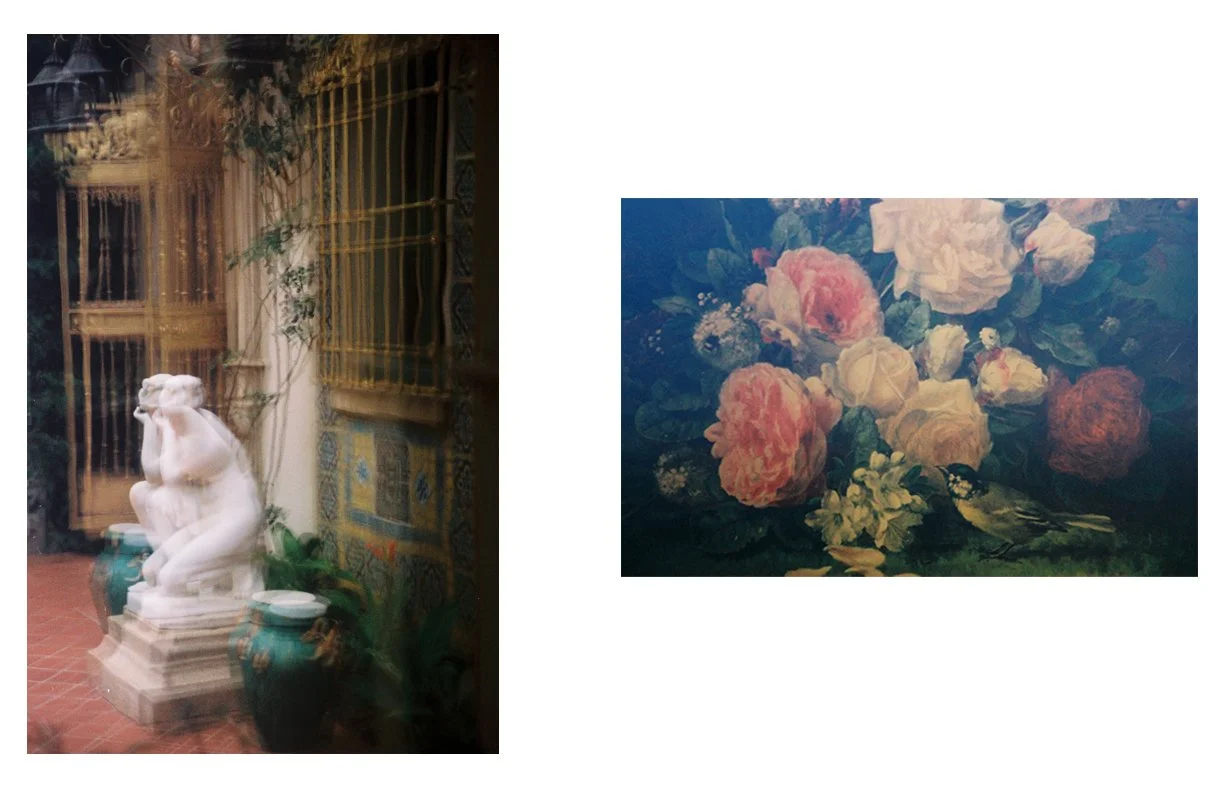 the_Weeping_Rose_34.jpg