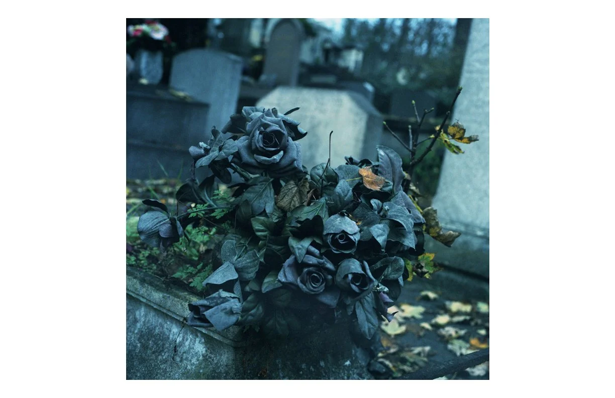 the_Weeping_Rose_37.jpg