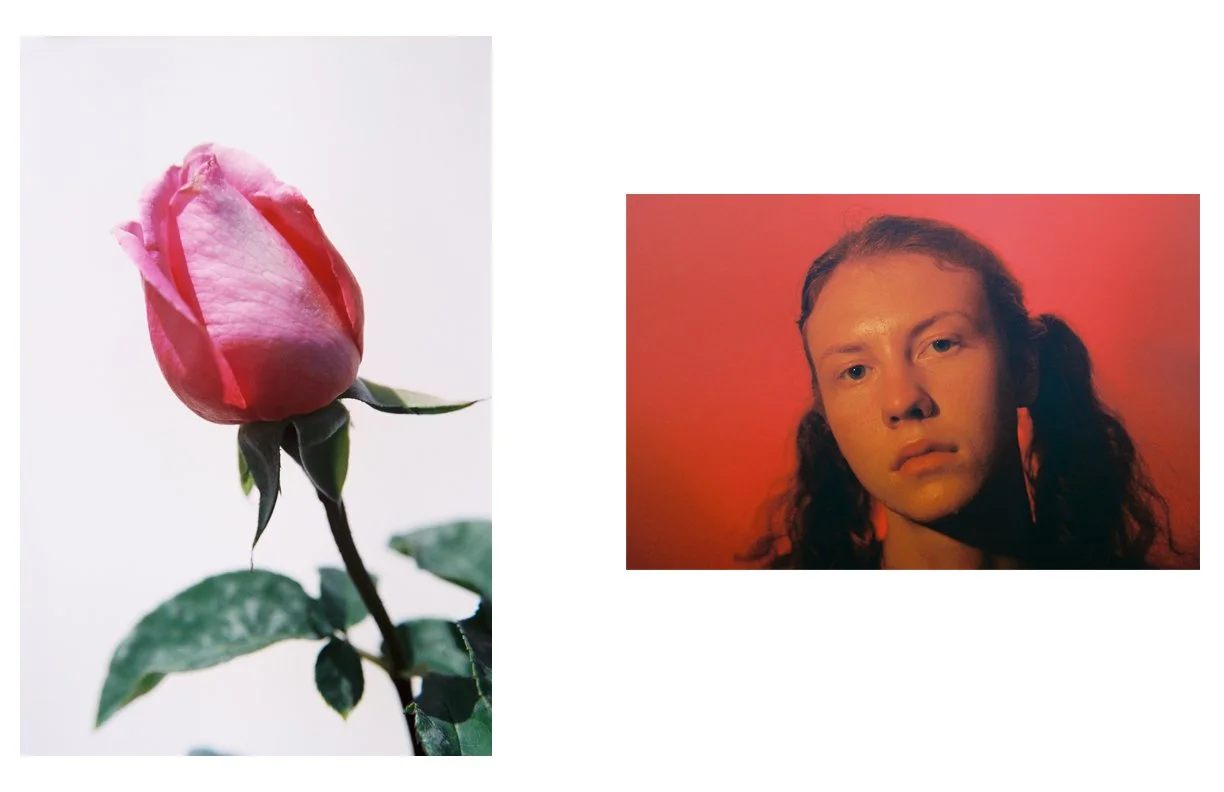 the_Weeping_Rose_39.jpg