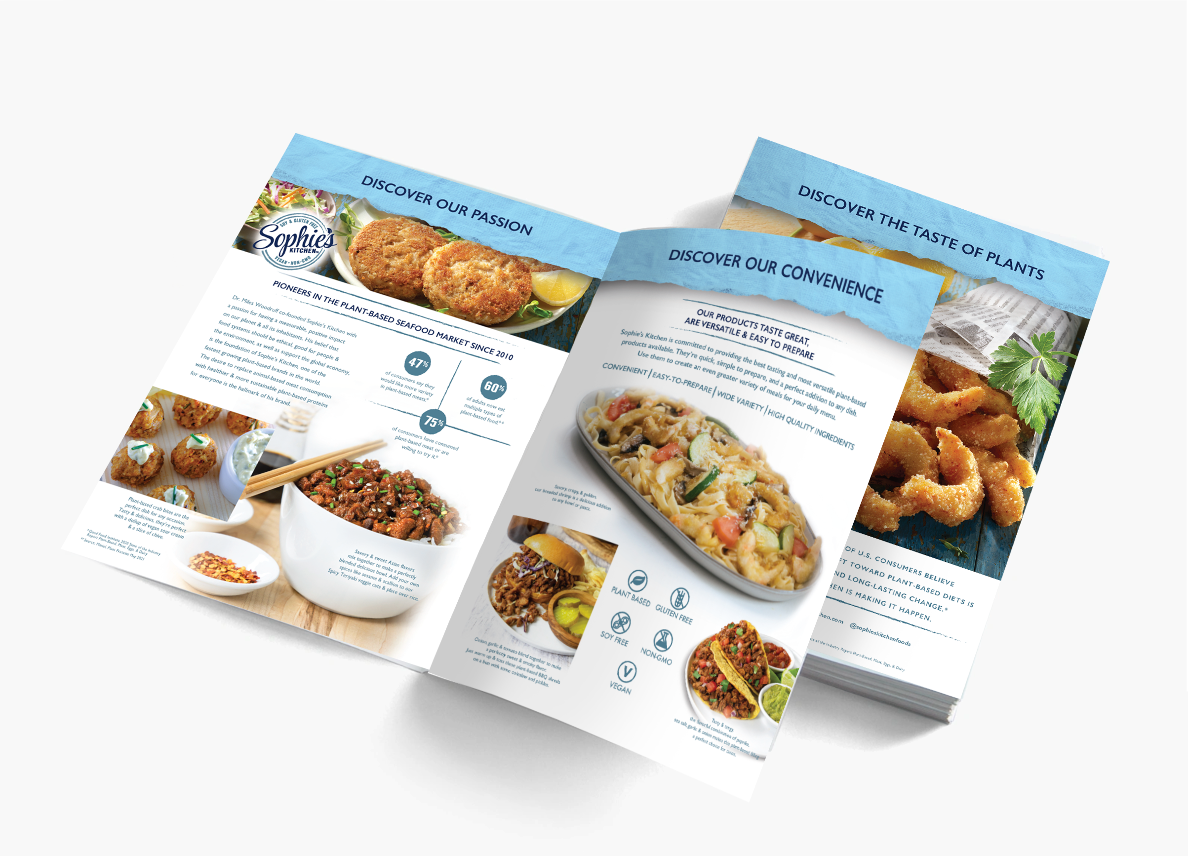 Brochure Layout 3D.png