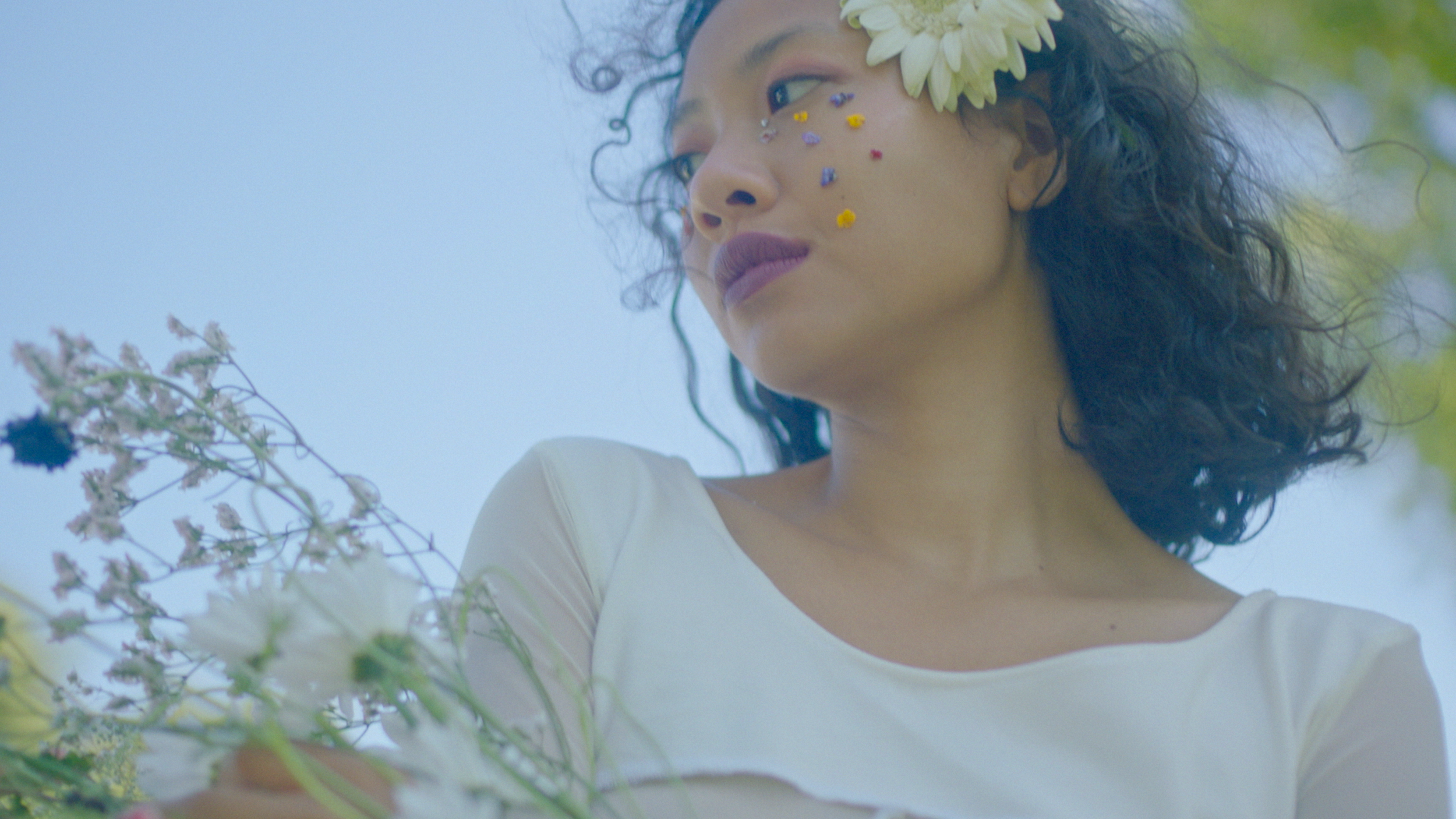 Screen Shot 2021-02-27 at 11.59.17 AM.png