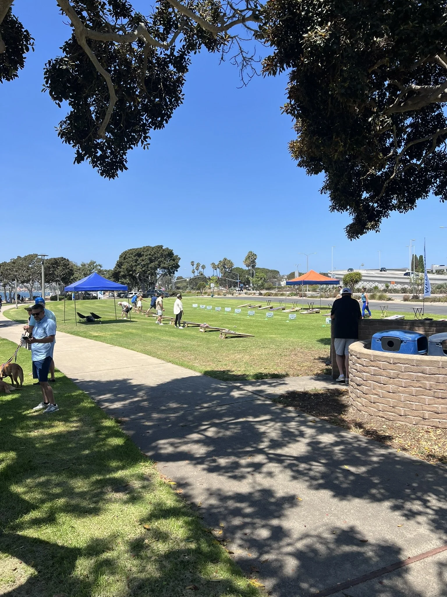 IMG_8062.JPEG
