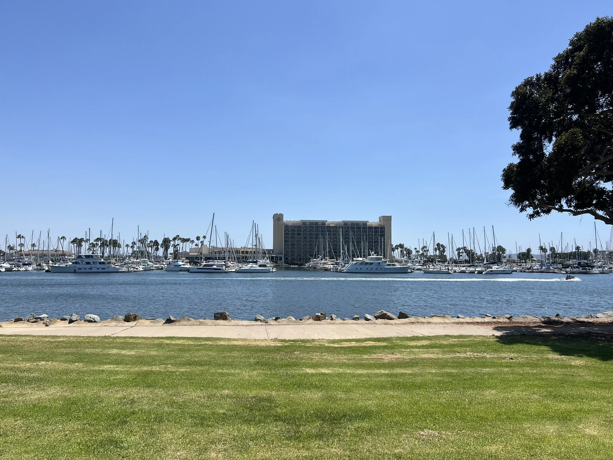 IMG_8080.JPEG
