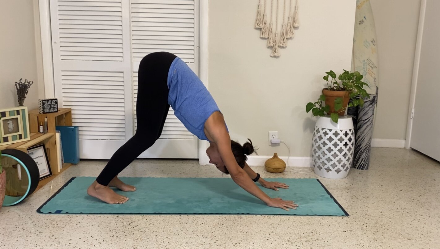 Advance your Yoga Practice with Dolphin Pose