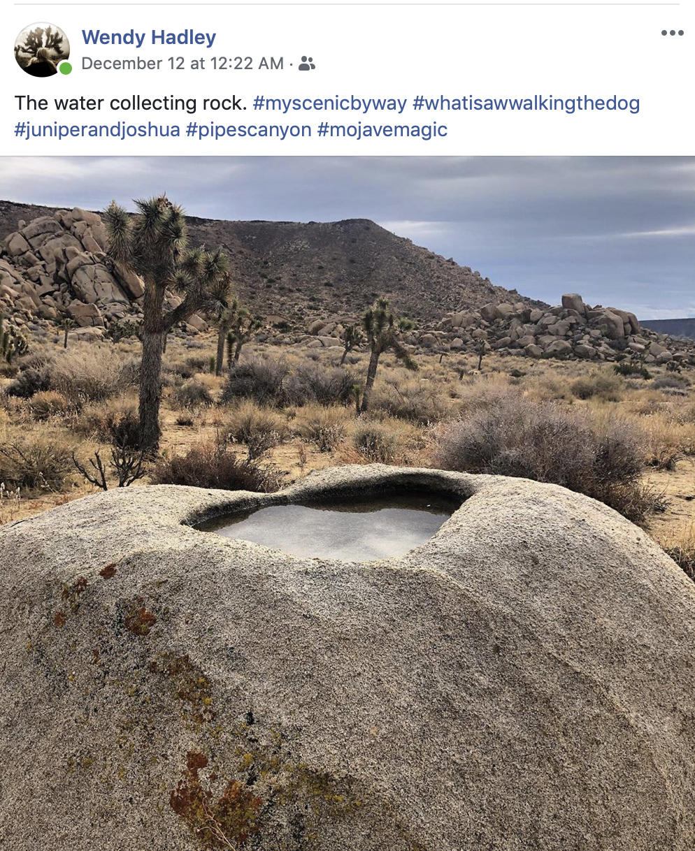 Screen Shot 2019-12-14 at 11.21.23 AM.png