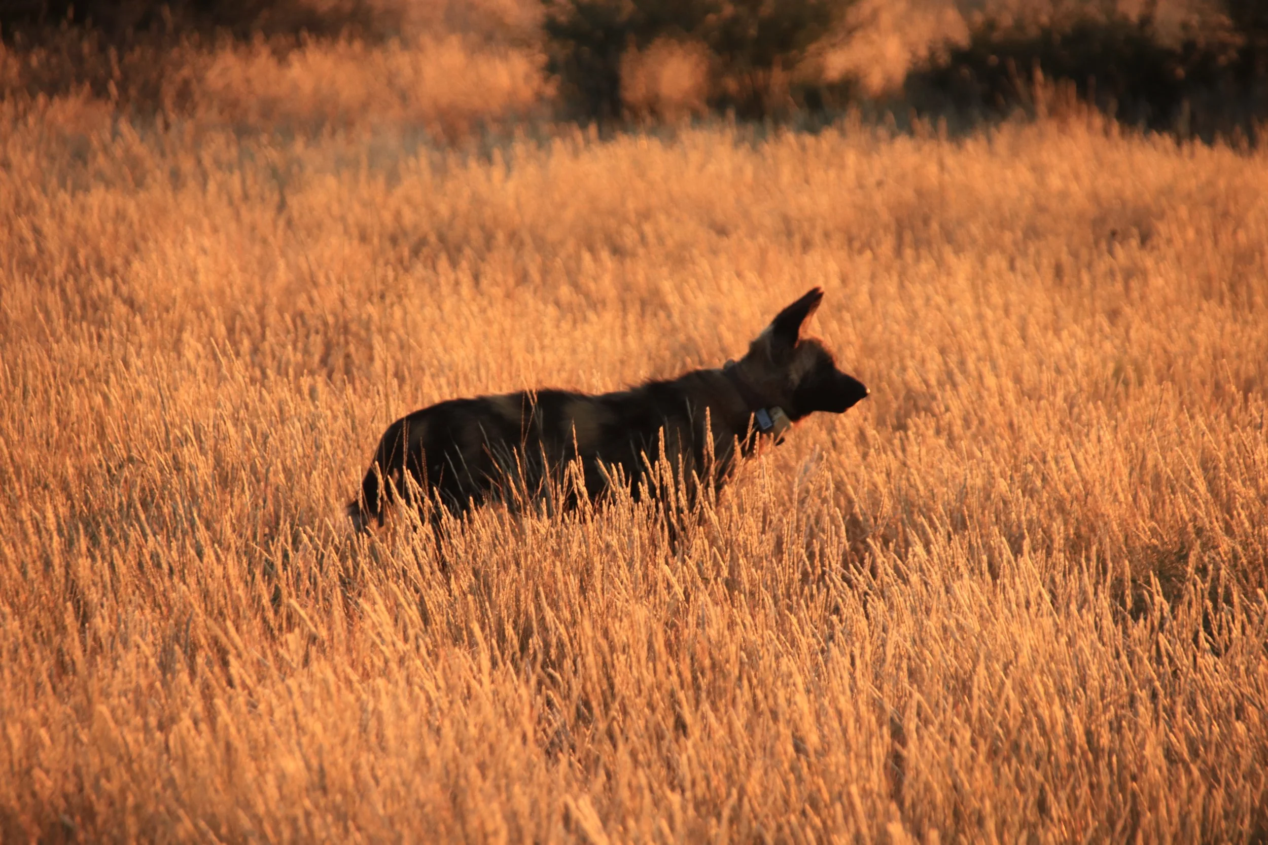 IMG_0194.JPG