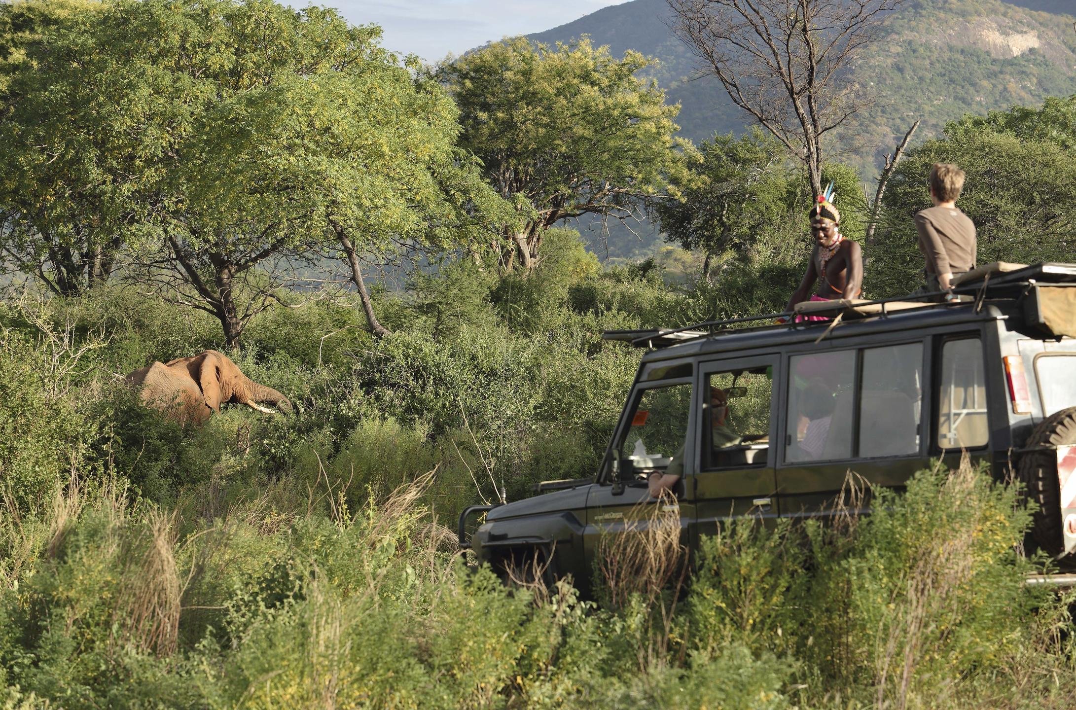 Sarara Treehouses_10.jpg