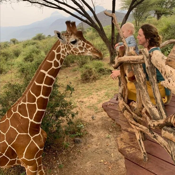 Giraffe viewing platform at Sarara.jpg