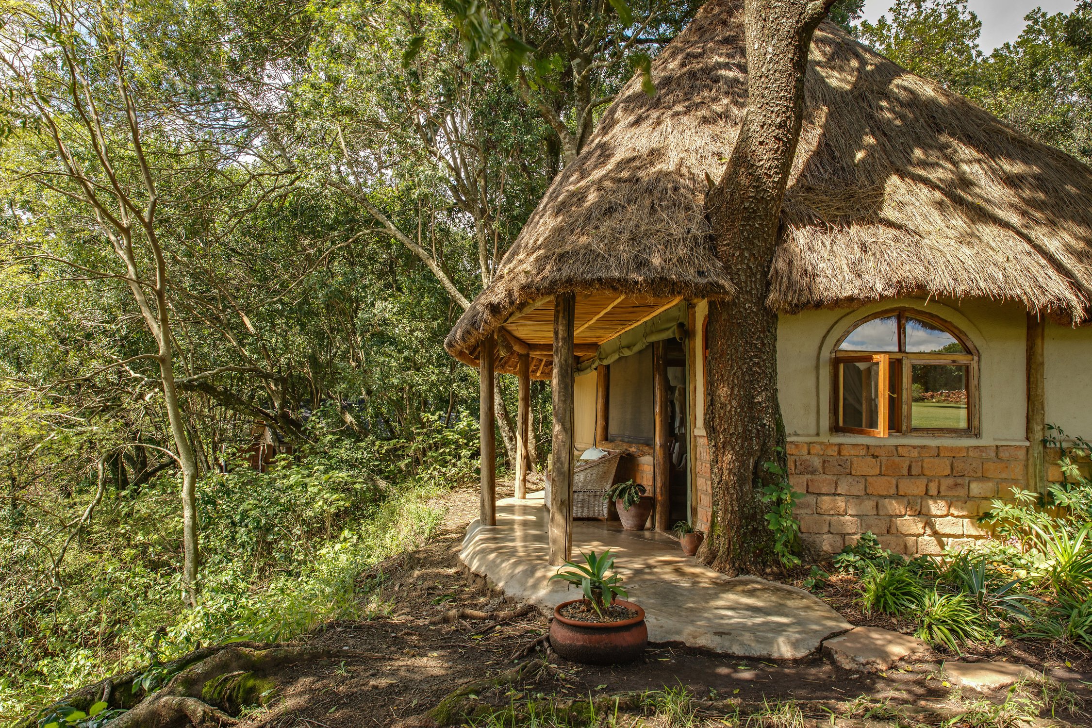 House in the Wild - OUtside Warbugia.jpg
