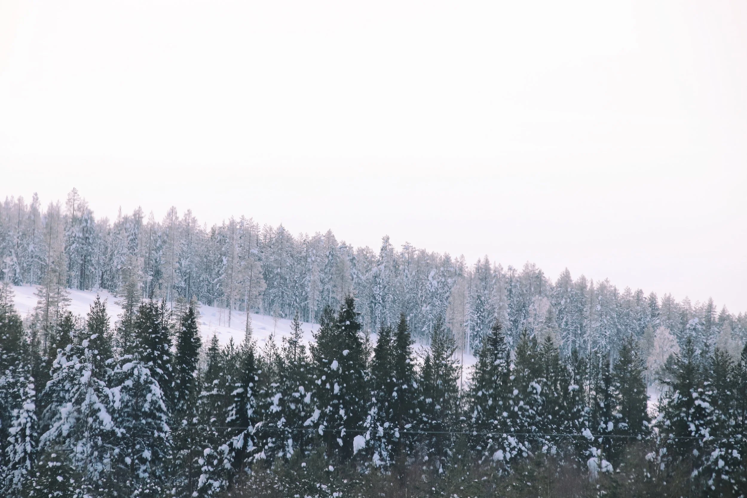  There are many ways to define winter holidays. And they do not all imply skiing in the mountains. The Finnish lapland is a whole different way to experience the cold months and, yes, you can slide down the slopes too, if you wish. There are lots of 