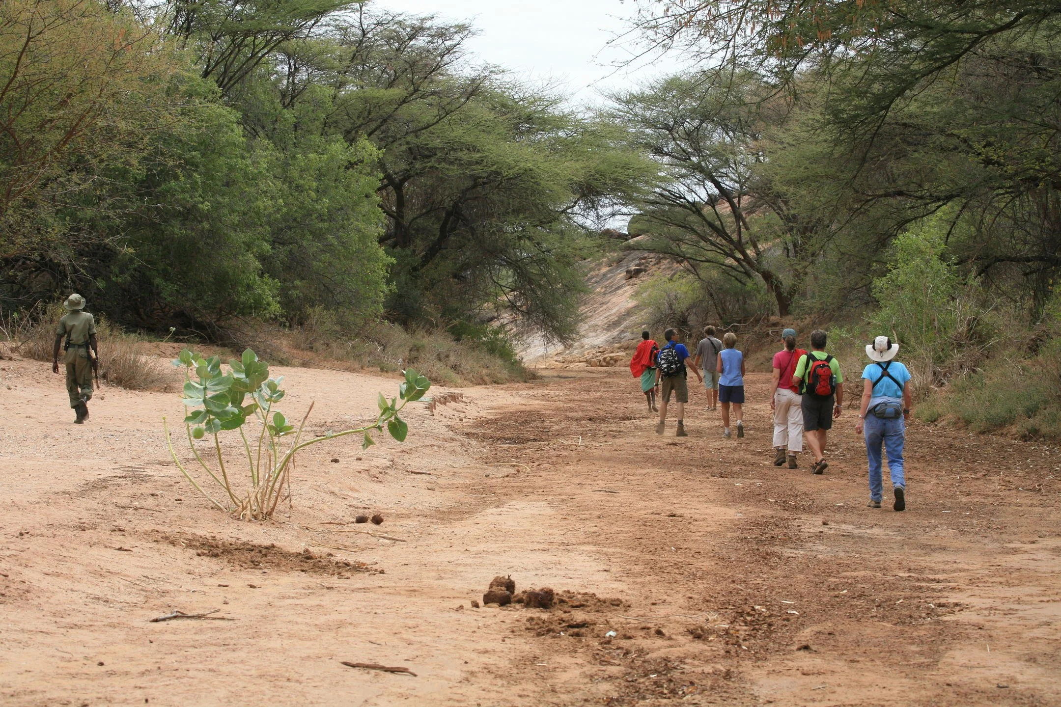 Walking in the dry river beds.jpg