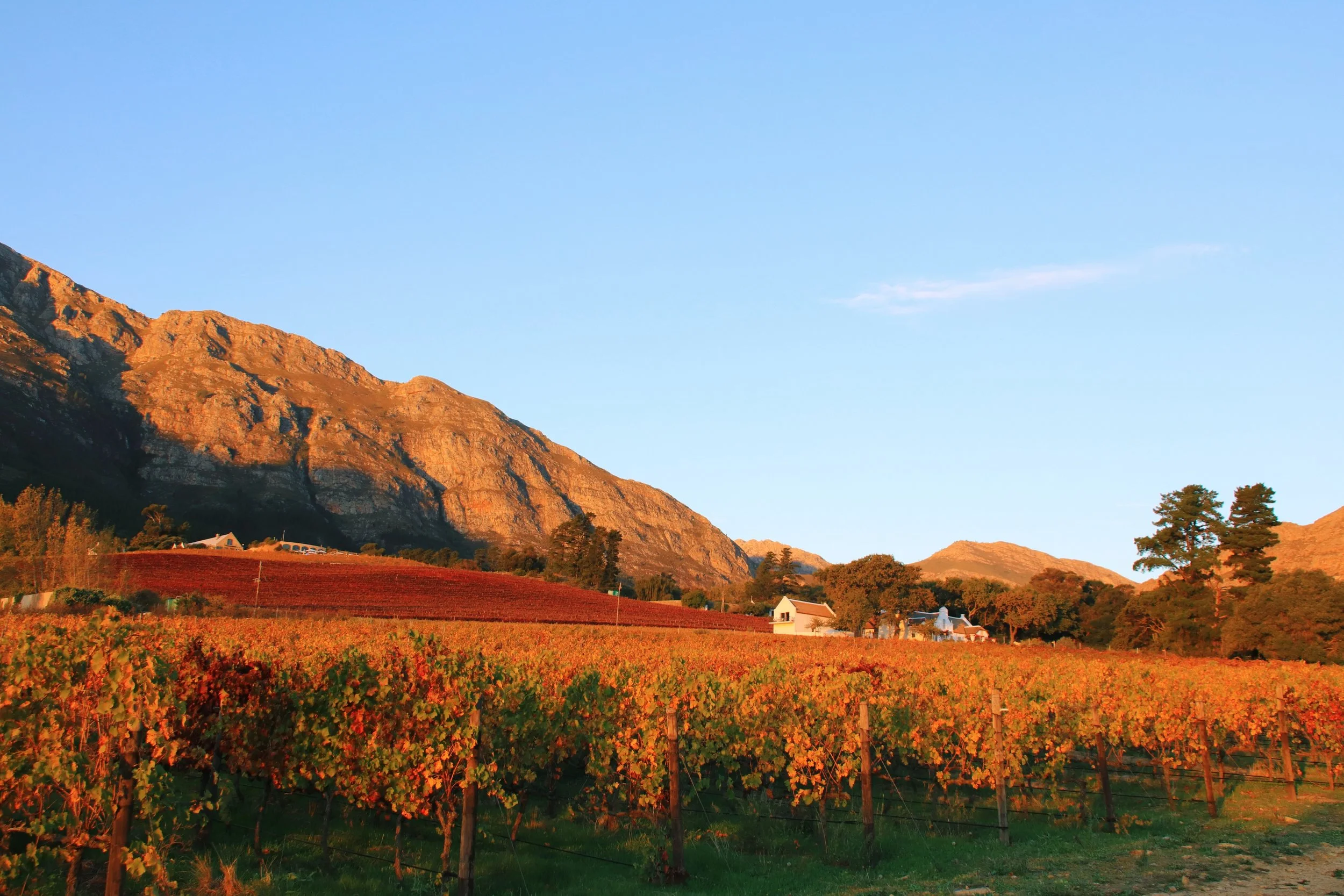  One of the best things of South Africa is the gastronomy and the wine. We also love the exquisite luxury service one gets at many places. Another great thing about this country is the variety of experiences we are able to offer to our clients: think