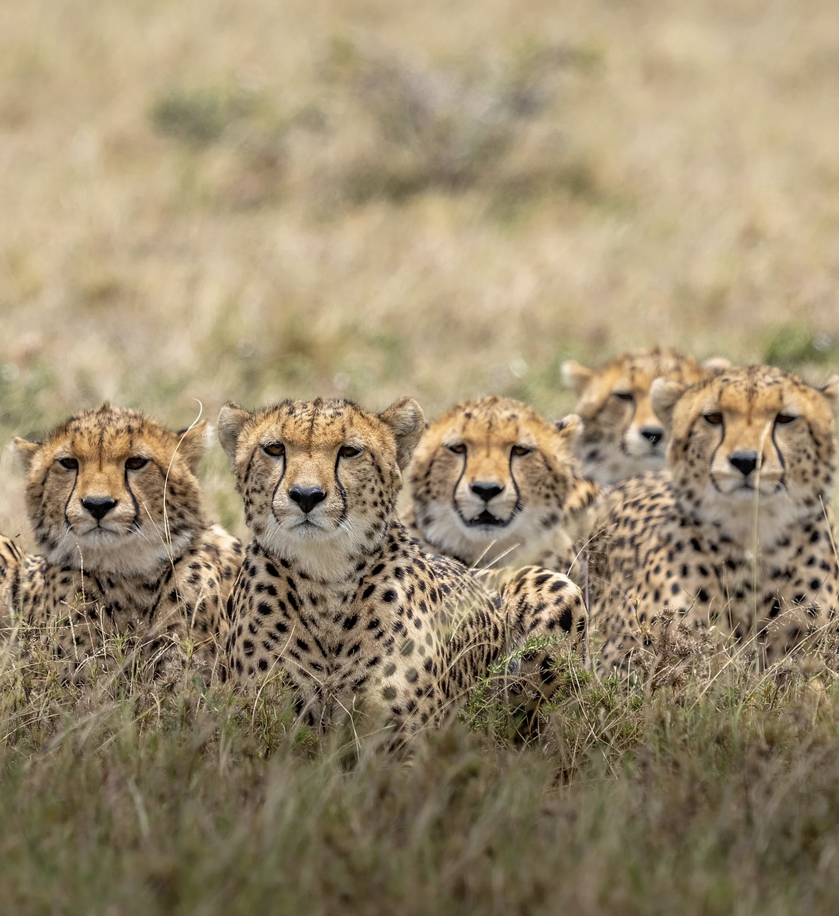 Screenshot 2022-06-20 at 18.46.43.png