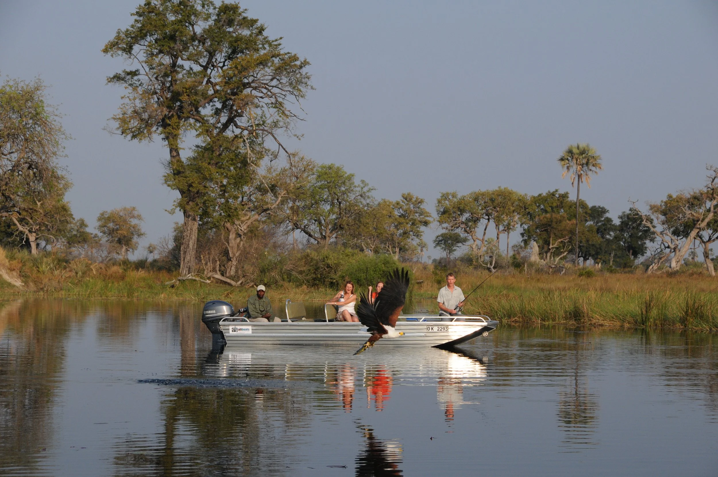 AHBS NonRiding Boat 2.JPG
