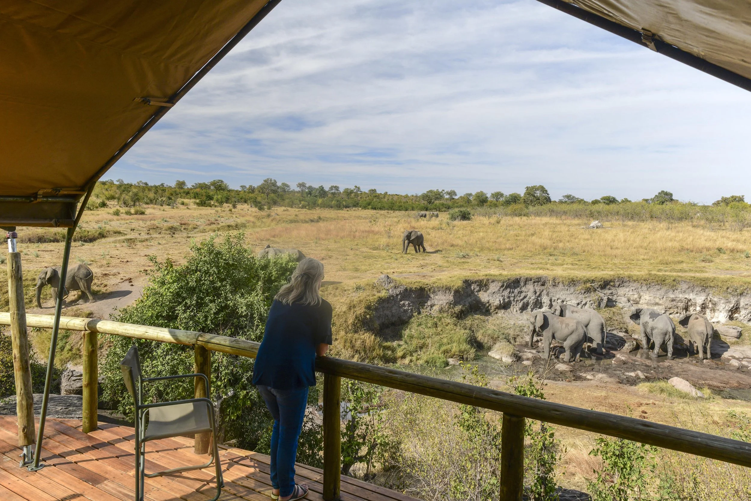 View from your tent.jpg