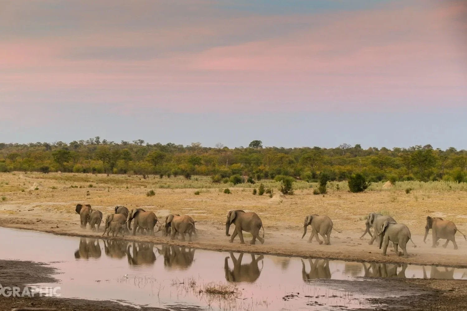 201907_zimbabwe_2631.jpg