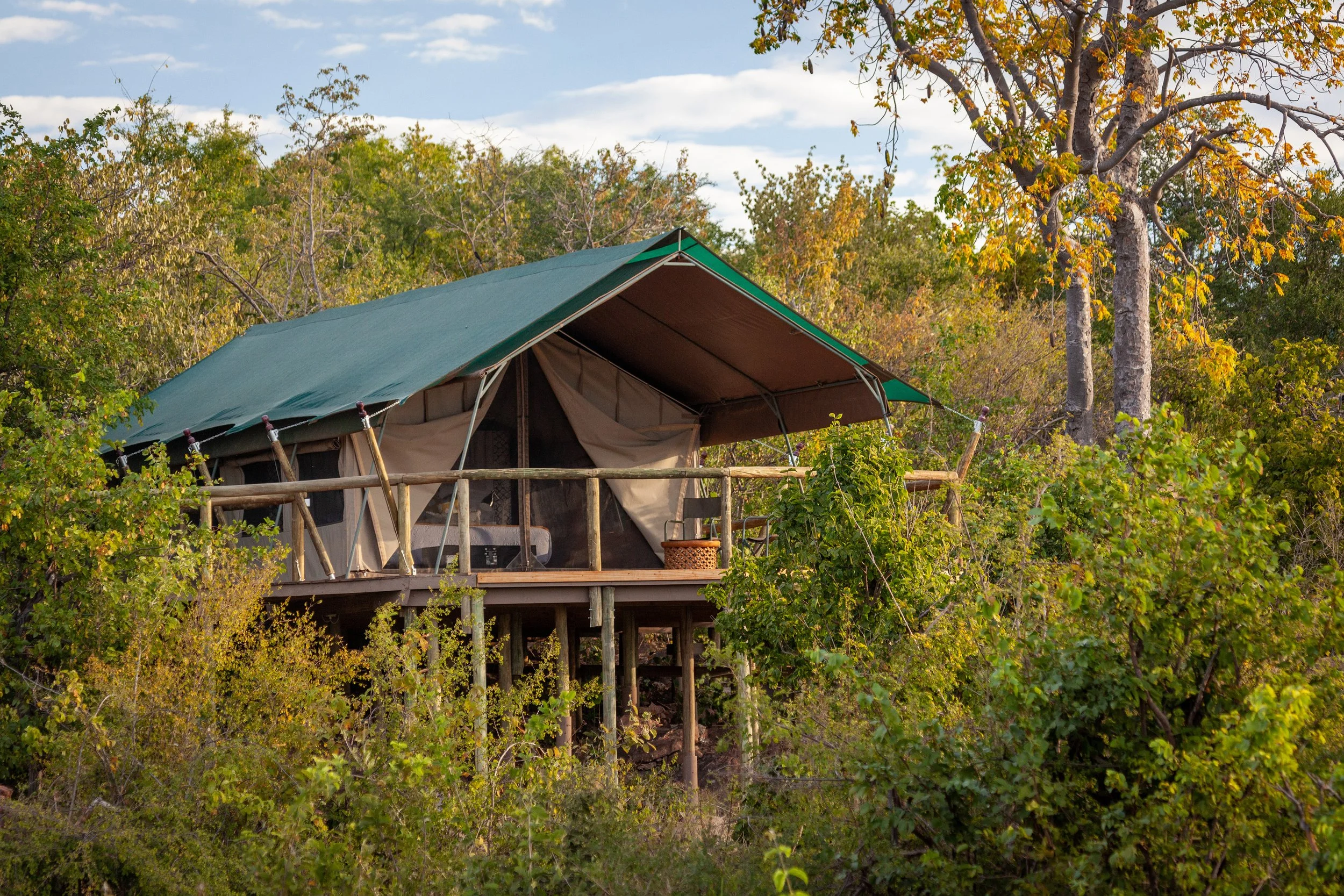 machaba-zimbabwe-deteema-room-tent-elevateed-in-canopy.jpg