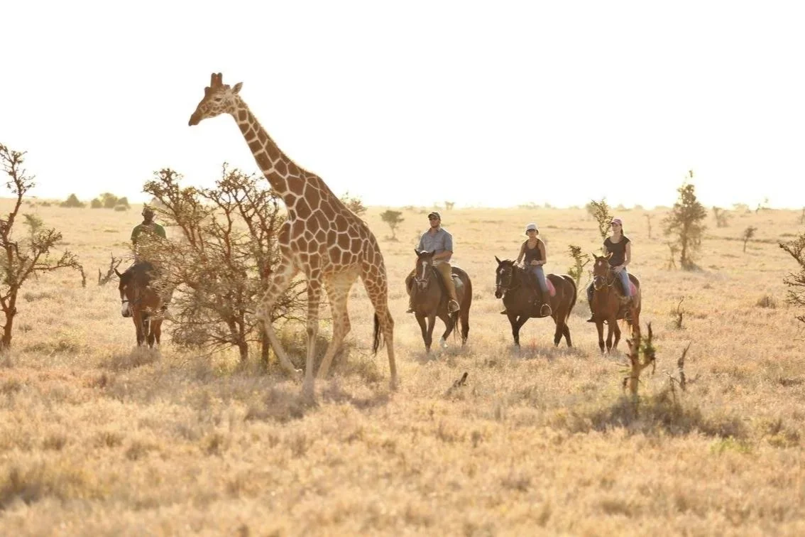 lewa_wilderness_2017-129.1.jpg