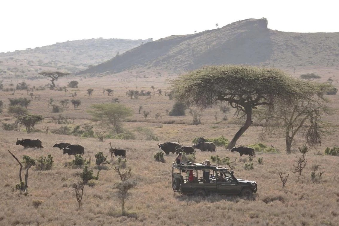 lewa_wilderness_2017-95.1.jpg