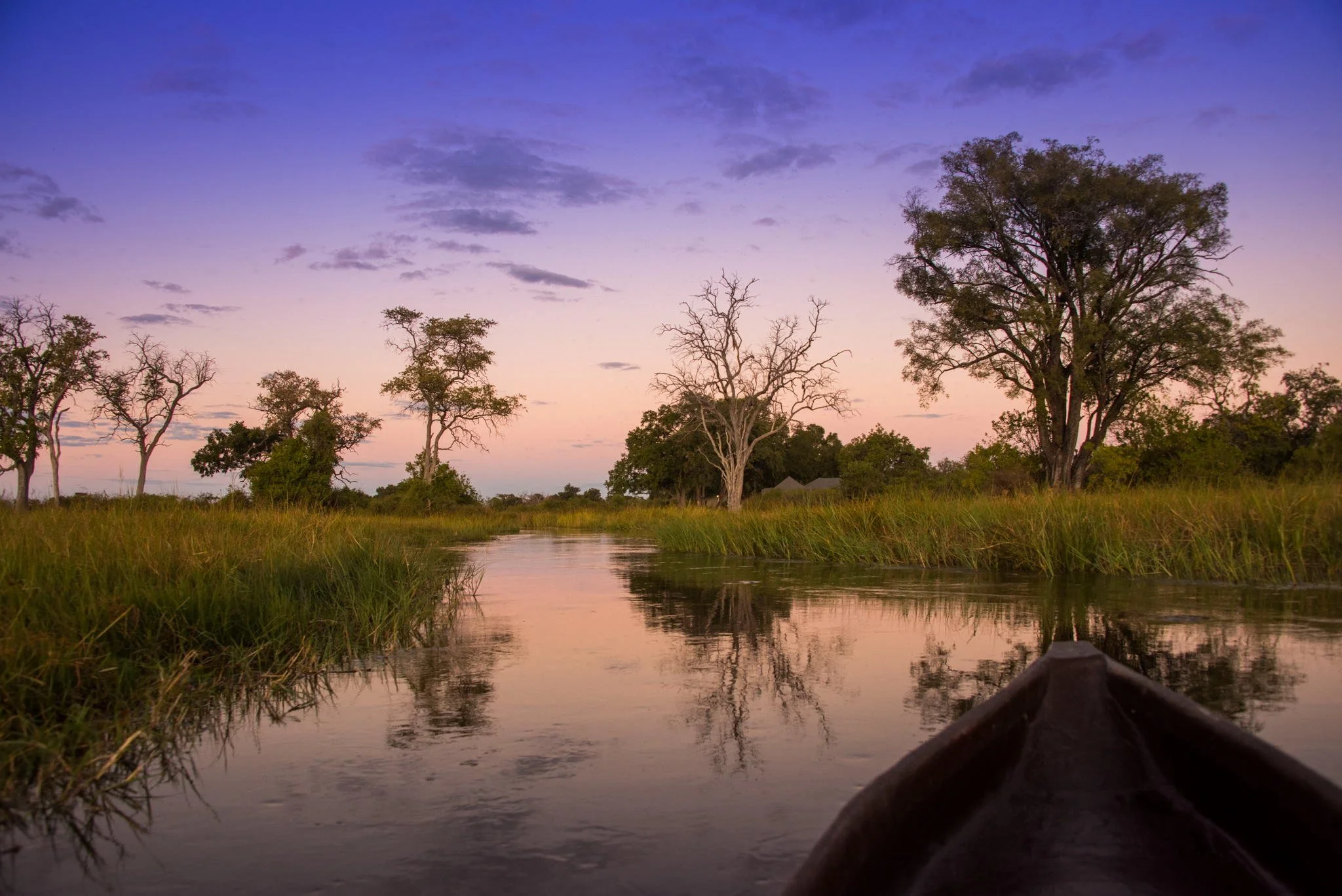 Duke s Camp Activity _1.jpg