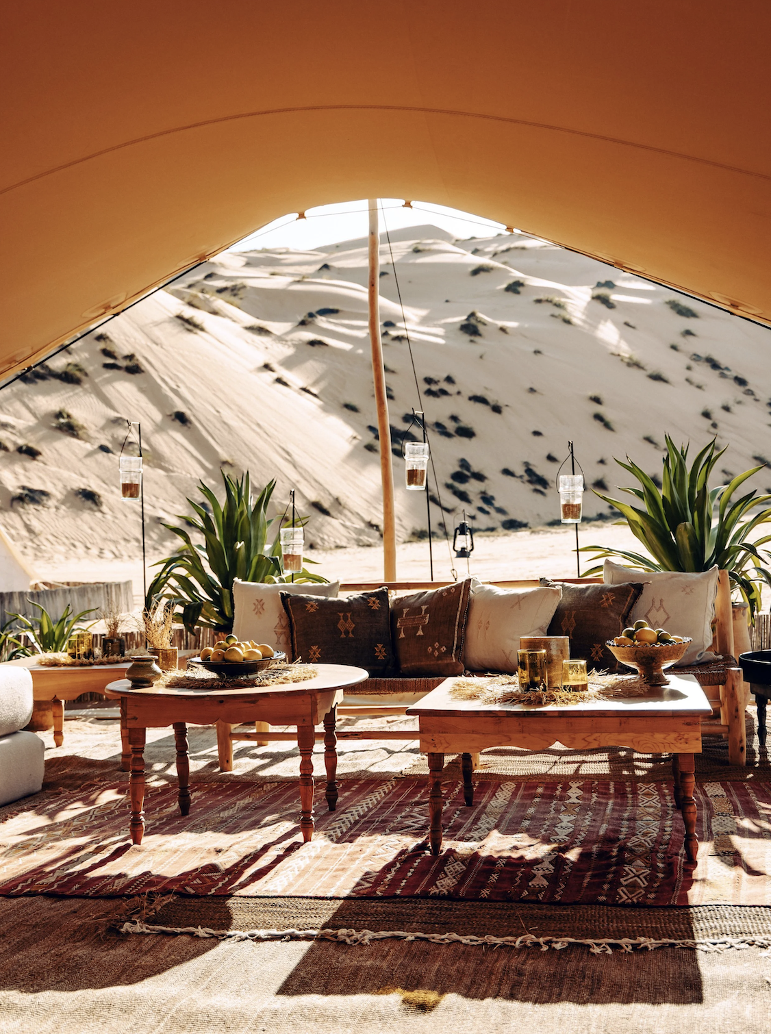 Screenshot 2026-02-25 at 23.11.24.png