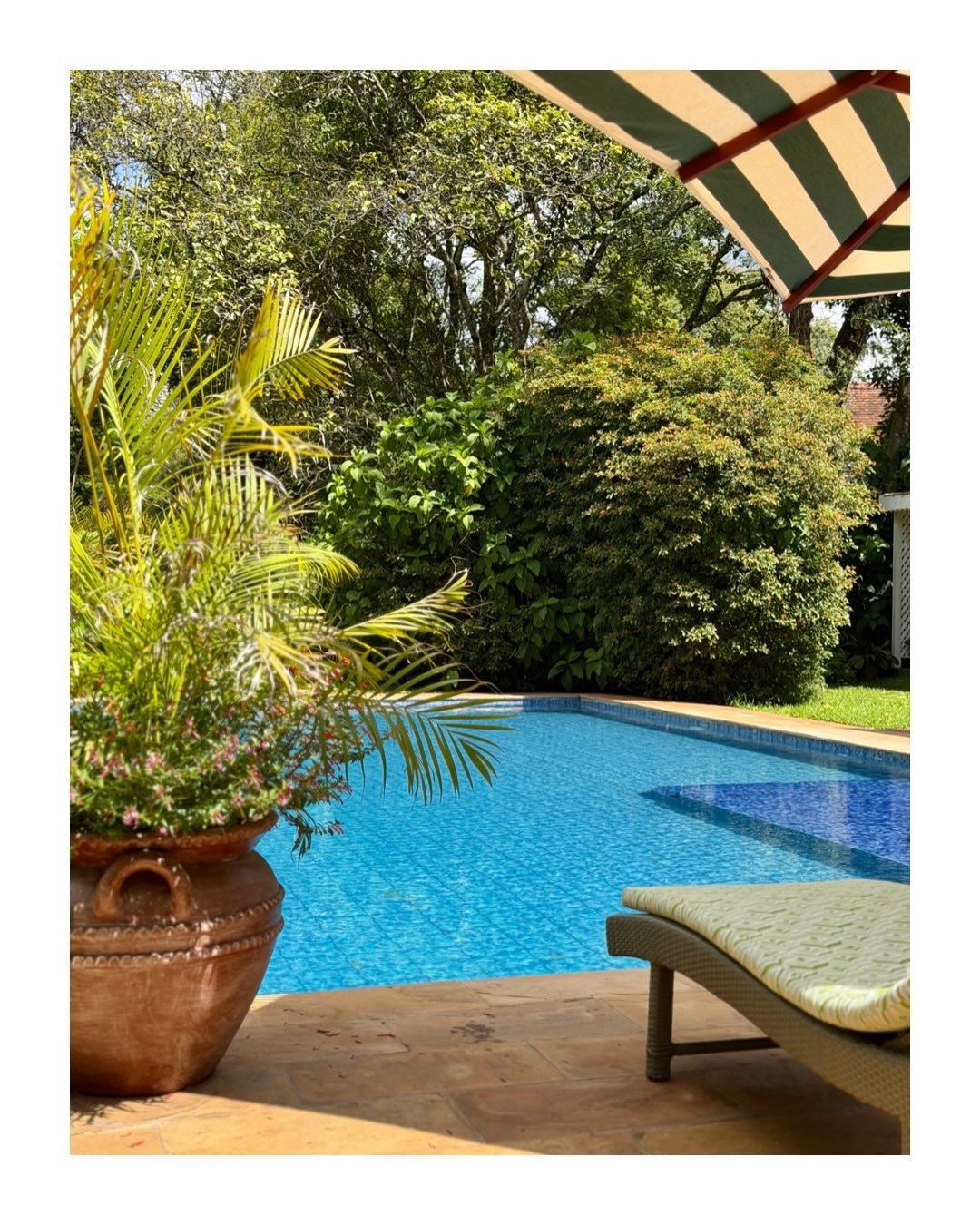 We finally found the place to stay at in Nairobi. F I N A L L Y. The most warm owner and the friendliest and attentive staff. Beautiful gardens with a pool, dining areas outdoors in indoors, the most delicious food, fireplaces outside and inside, 5 l