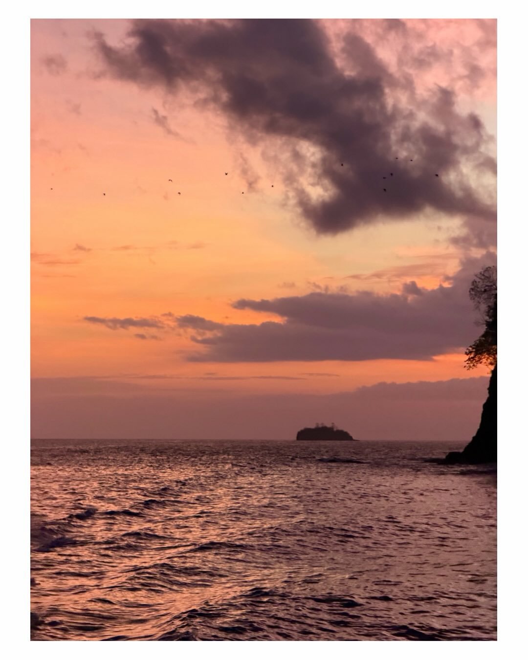 The Pacific and its incredible colors, both in the water and in the skies. It was one of the most stunning sunsets I ever saw on an ocean. What a privilege to witness it. And then the dolphins came to salute the end of the day, as we headed back to t