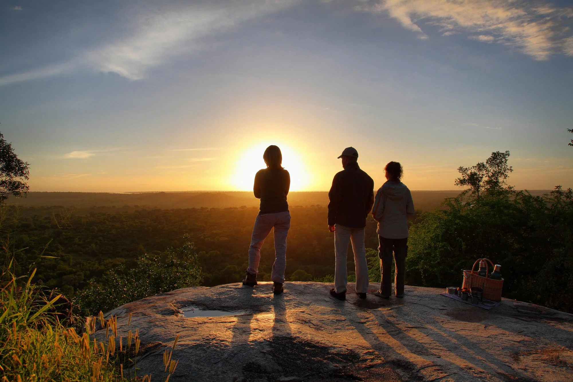 bushwalk_41.jpg