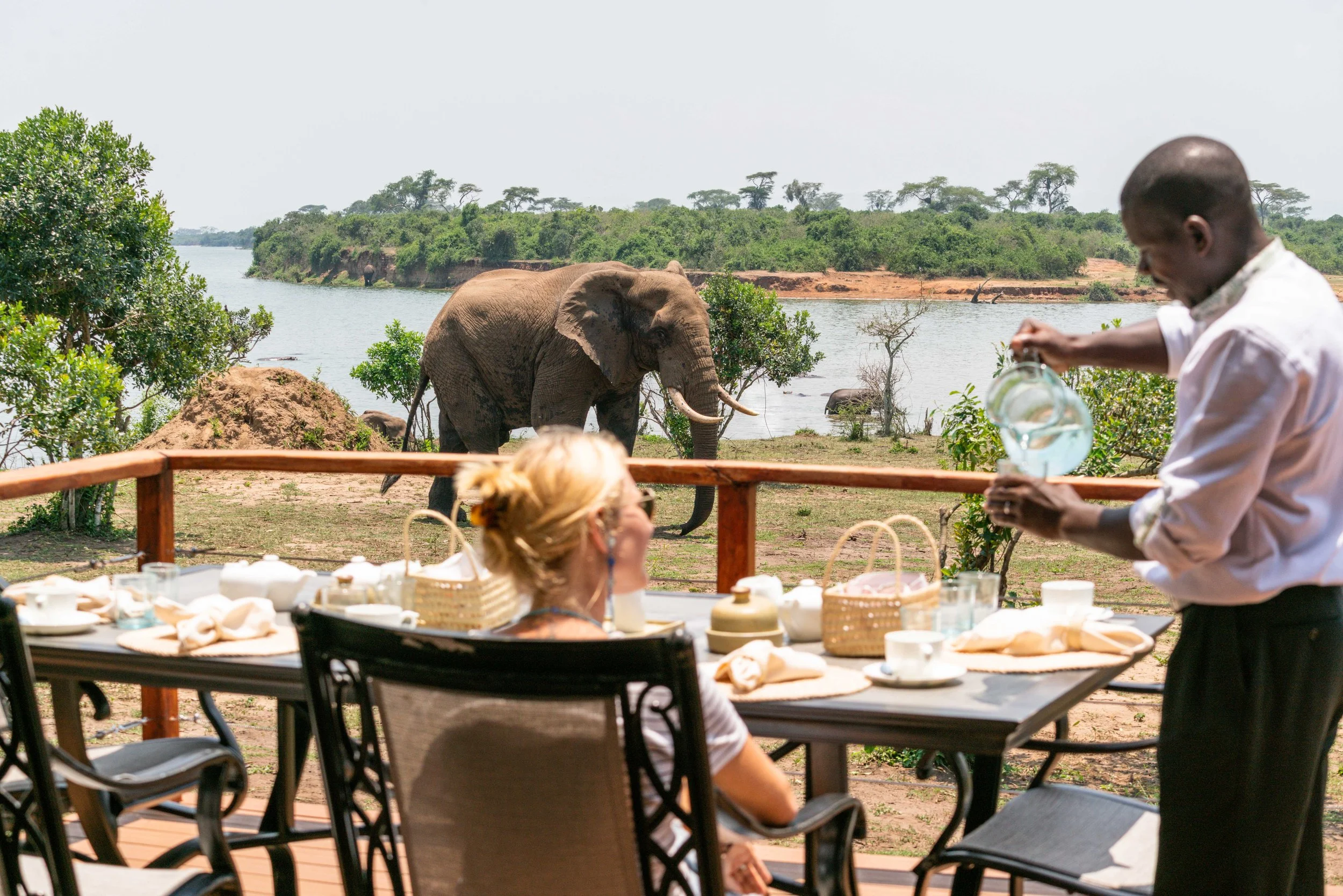 TRS Dining with Elephant (2).jpg