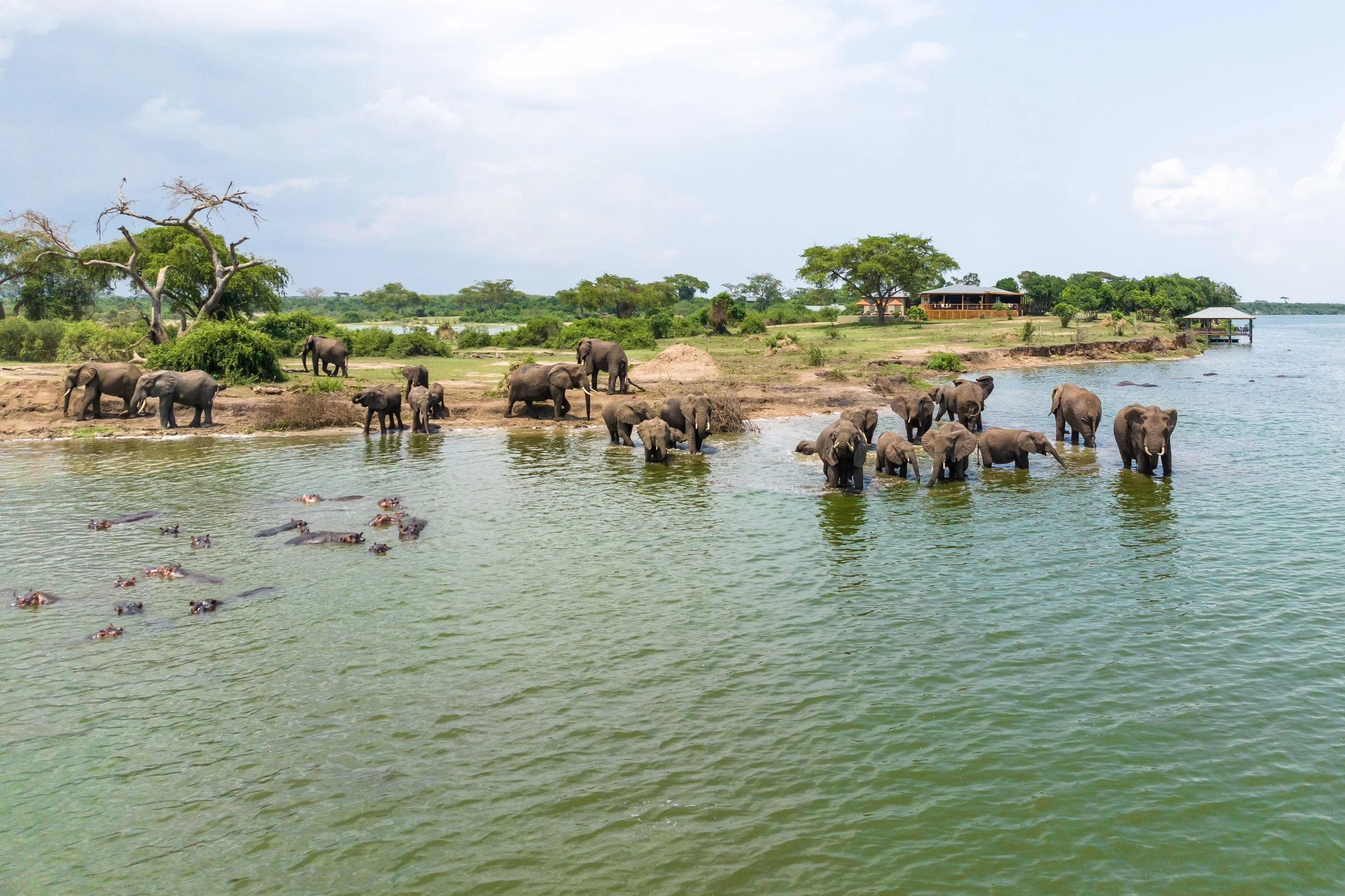 TRS Elephant in front of lodge.jpg