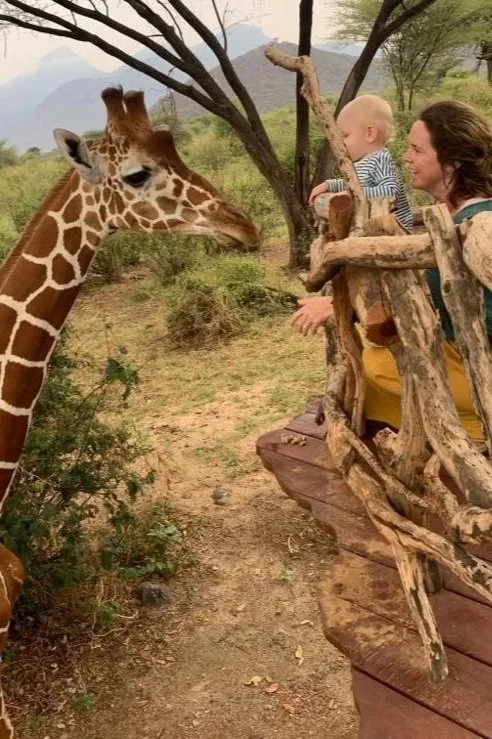 Giraffe+viewing+platform+at+Sarara.jpg