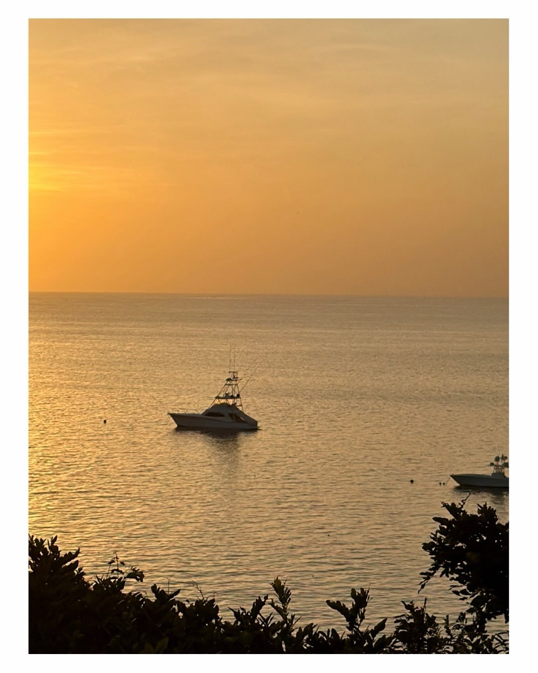 The stunning island we got to explore on the warm pacific waters of Panama exceeded all of our expectations: 
from the rooms to the jungle paths to get to them, 
from the fireflies at night to the boat trips, 
from the pool views to the deck sunsets,