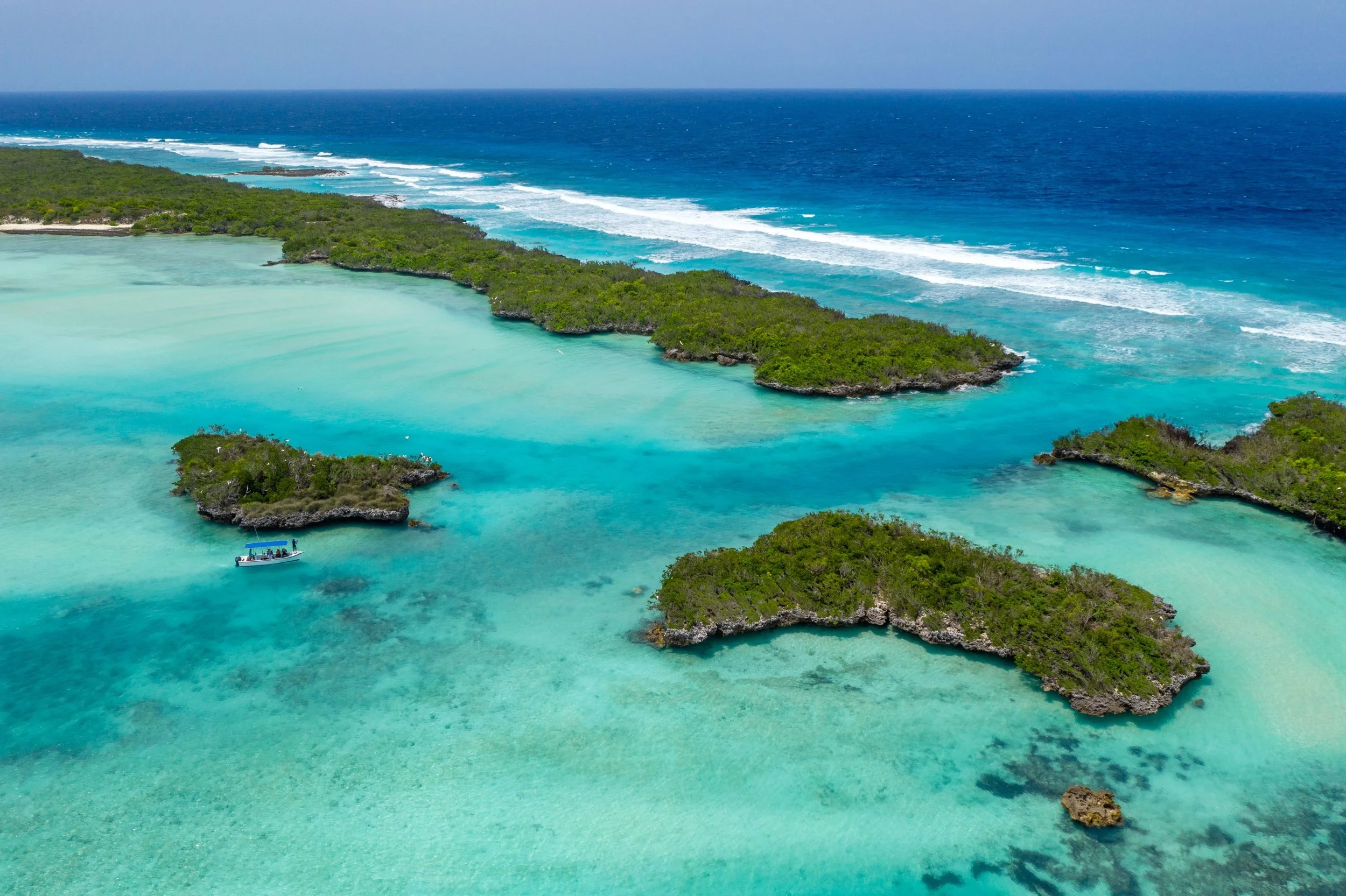 76-cosmoledo-seychelles-blue-safari-mvr-24.jpg