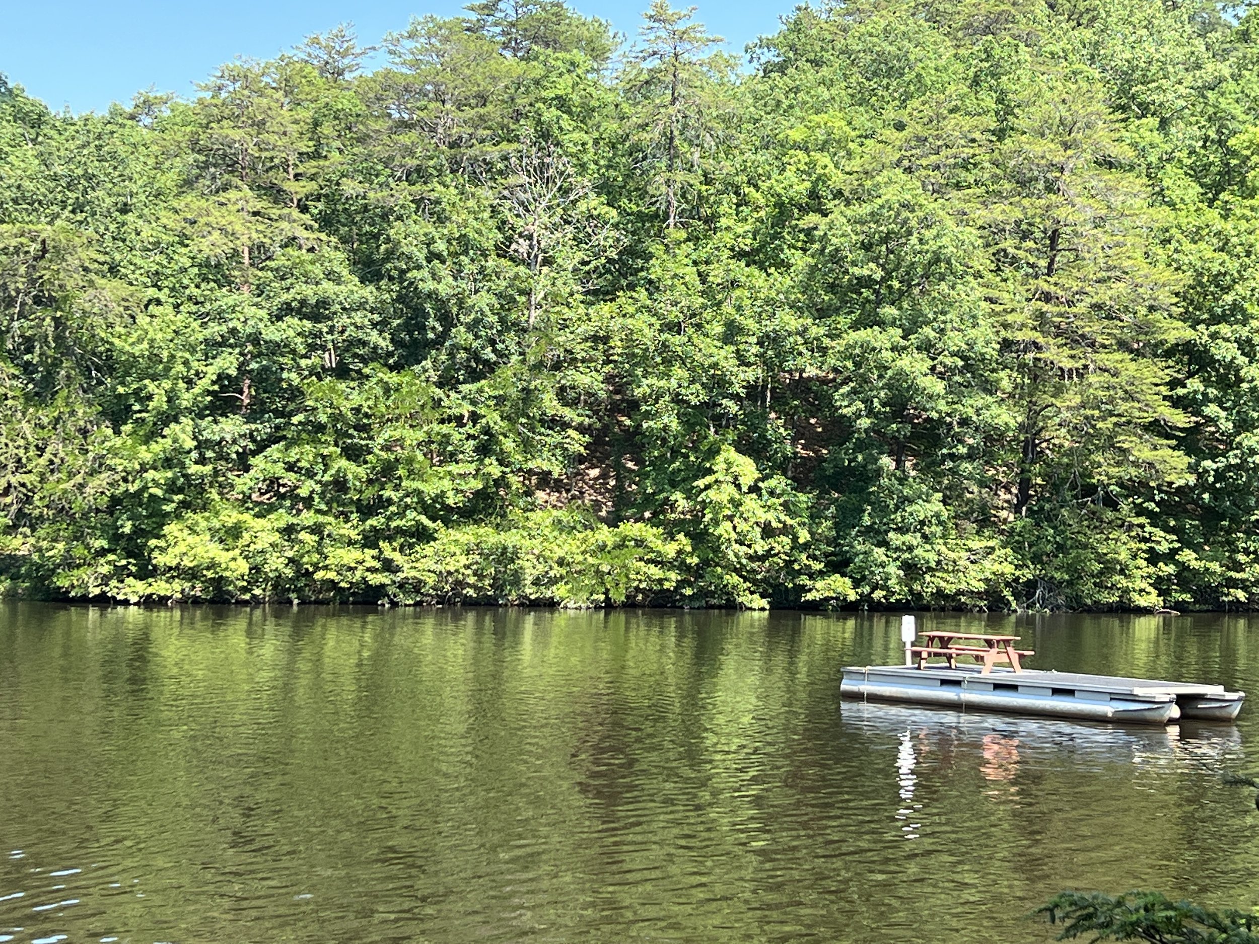 IMG_4780 - Anchored Pontoon Boat Picnic.JPG