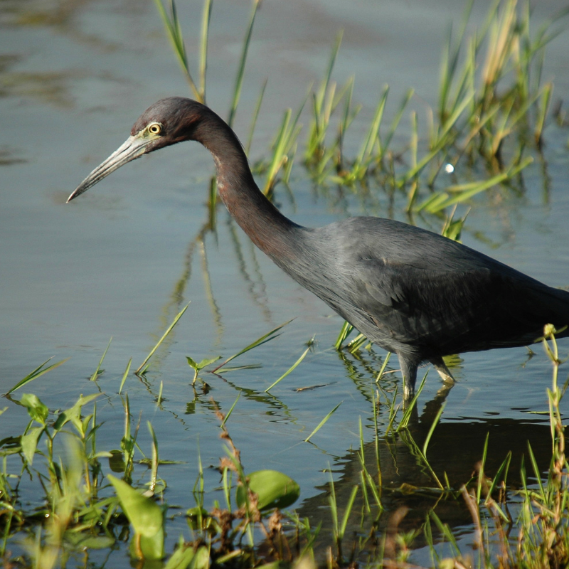 Services Oriented Businesses Narrowsburg, NY