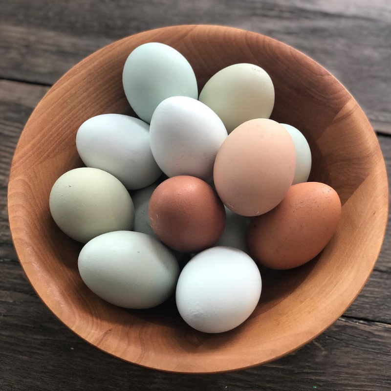 White Stag Farms_Eggs.png