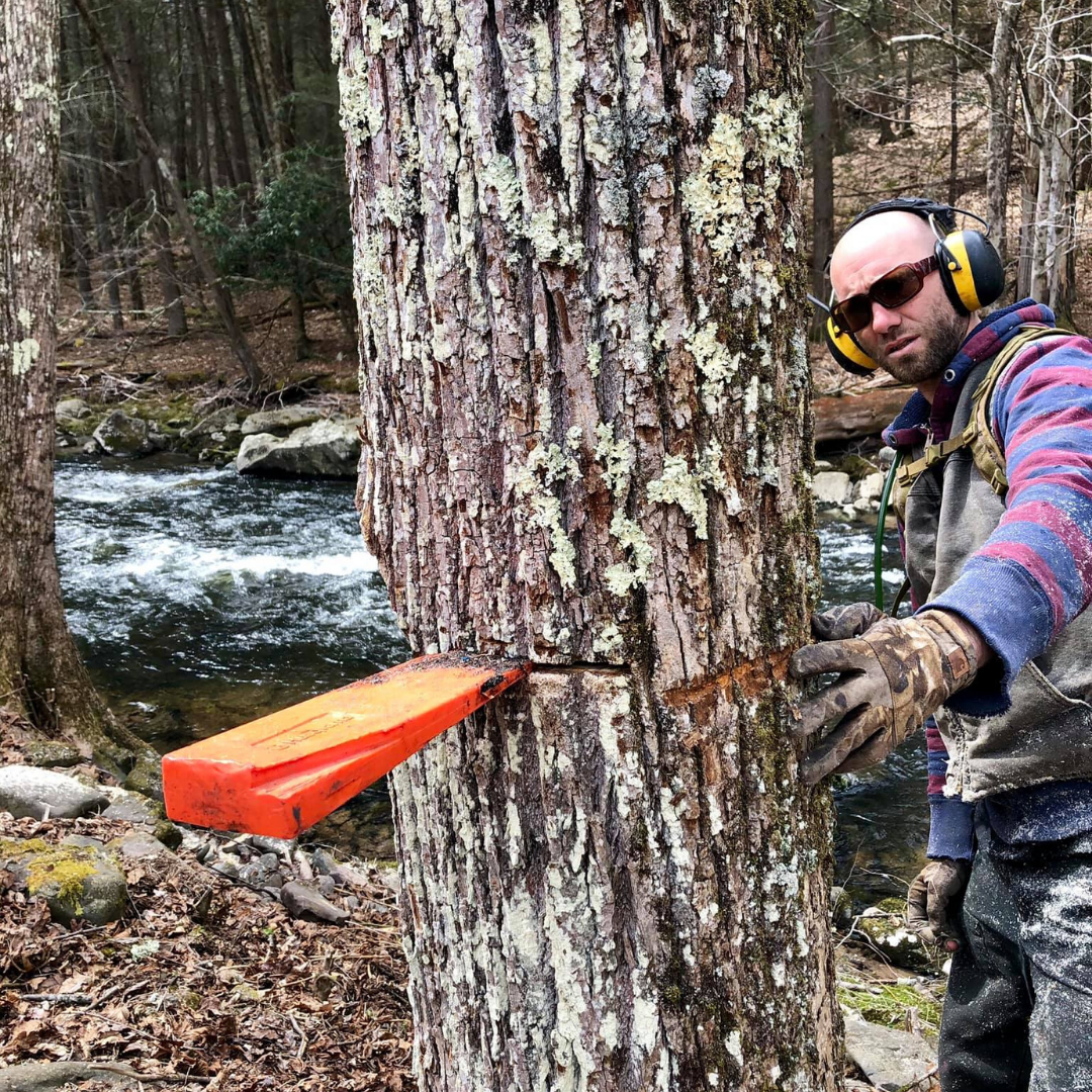 Jacobi Tree Service_Narrowsburg Chamber (3).png