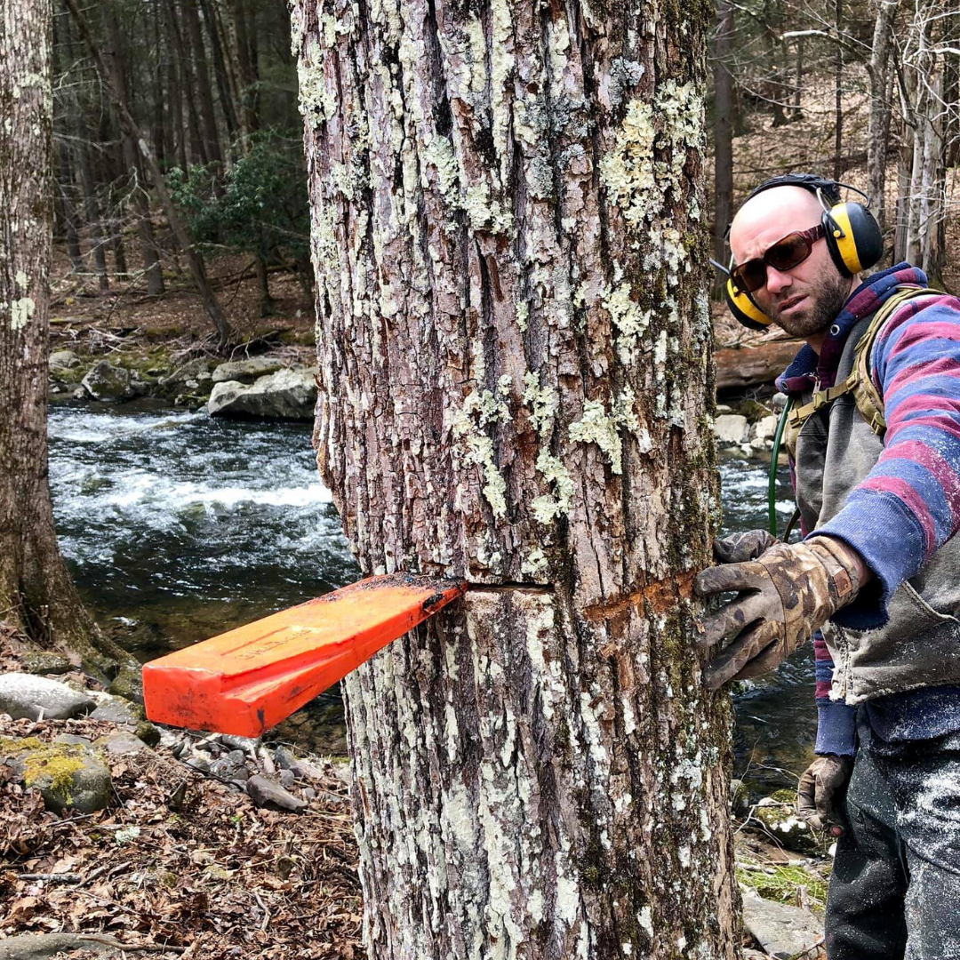 Jacobi Tree Service | Narrowsburg, NY