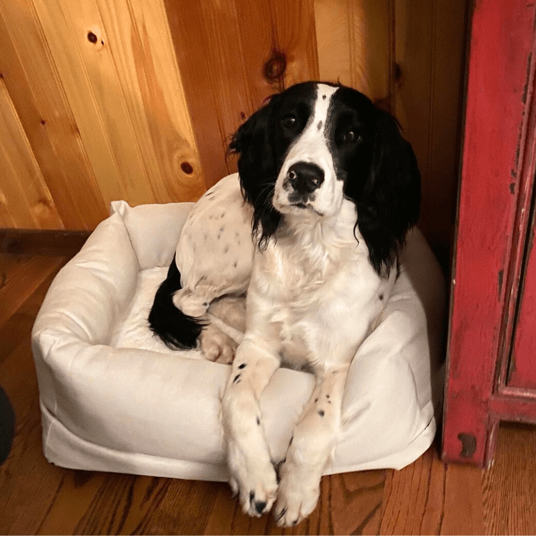 Lucky Lane Narrowsburg NY