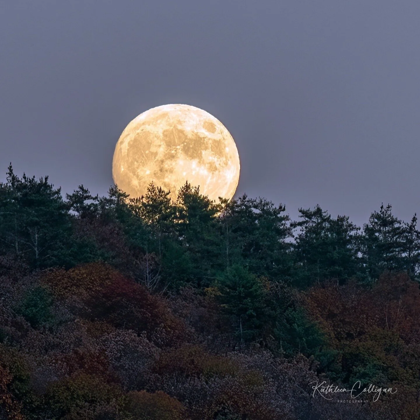 Narrowsburg Walking Trails Narrowsburg, NY